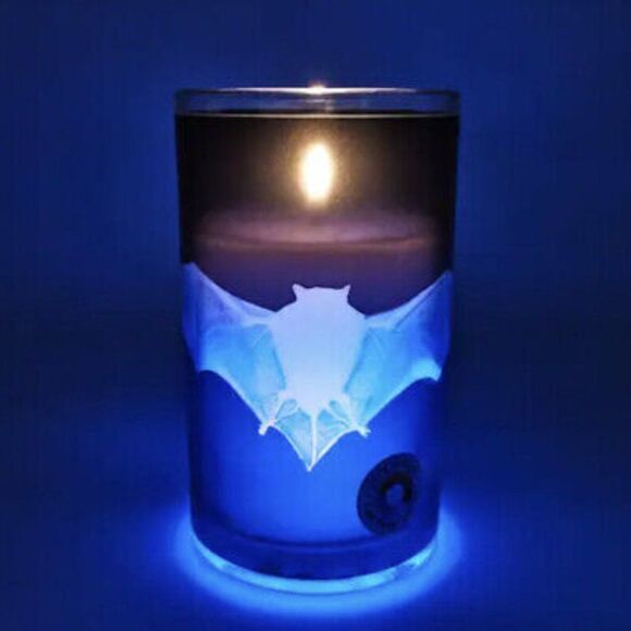 Ashland Halloween X-ray Bat Candle - Picture 1 of 5